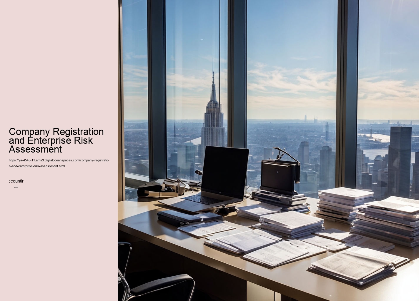 Company Registration and Enterprise Risk Assessment